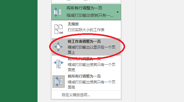 Excel 如何把大的表格打印成一张纸大小？