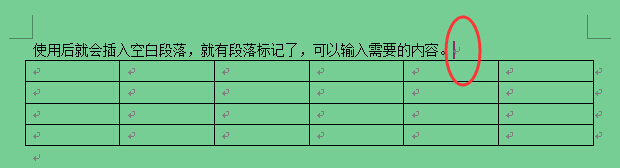 怎样在Word 表格前加标题？
