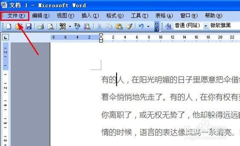 怎样缩小Word的打印比例？