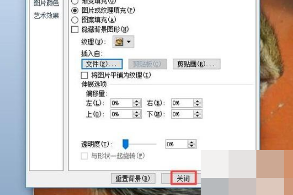 PPT中怎样复制前一页的背景？