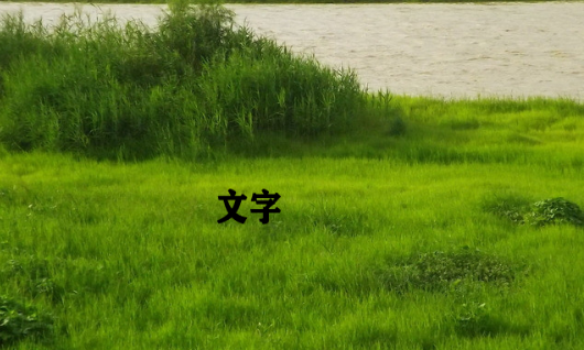 Photoshop上抹字的工具怎么用？