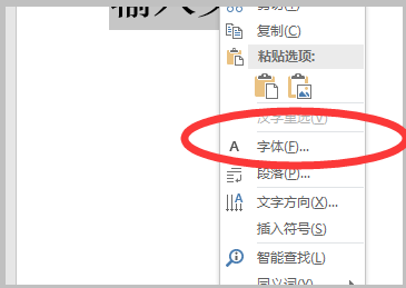 Word中字体的磅值如何设置？