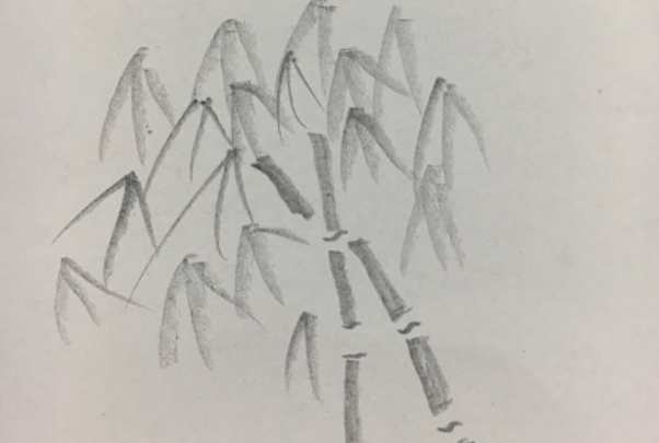 室内设计素描画教程视频