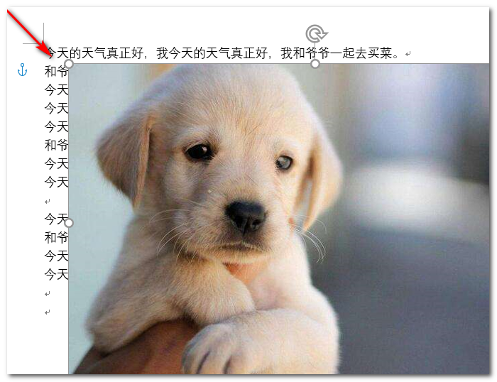 Word文档怎么把图片浮于文字之上？