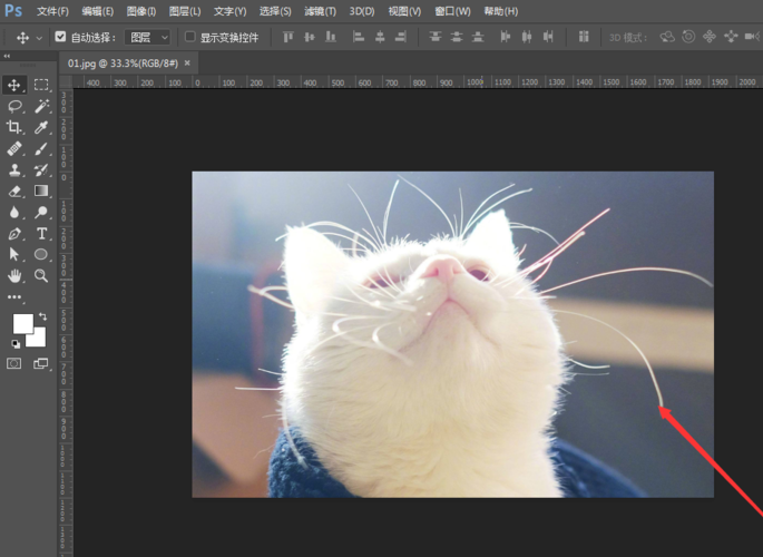 在Photoshop里面怎么查一张图片的大小？