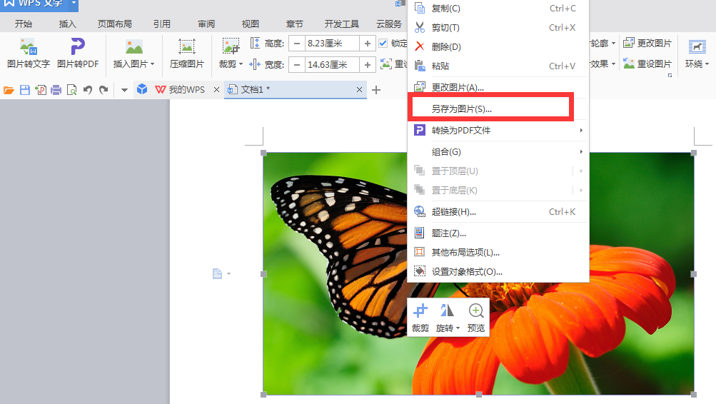 怎么修改word图片