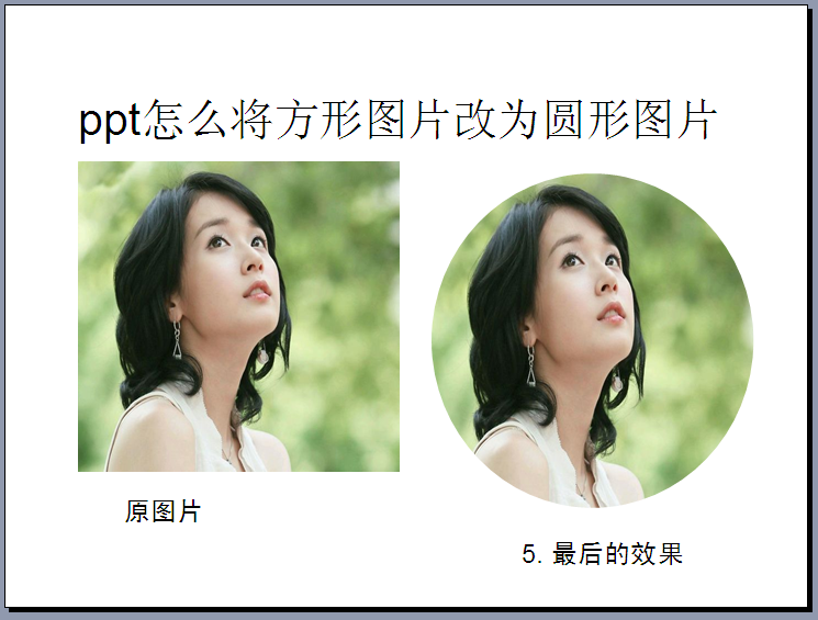 ppt怎么将方形图片改为圆形图片?