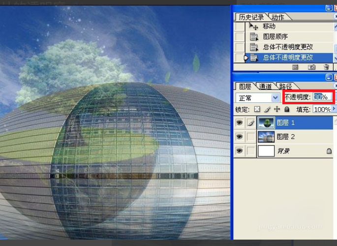 PS透明度怎么调? PS透明度怎么调?