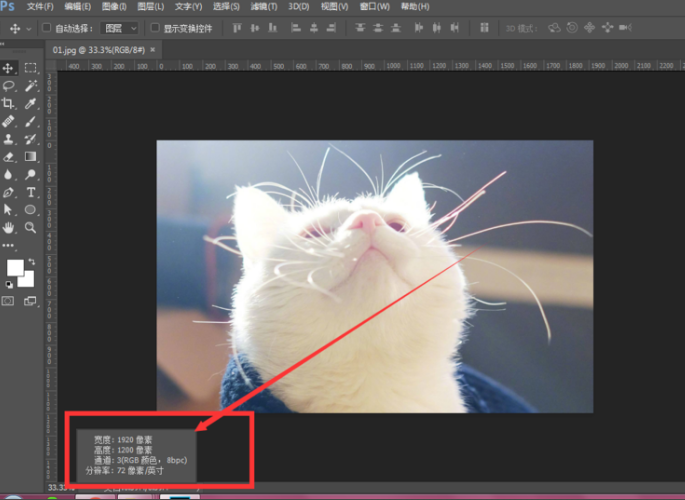 在Photoshop里面怎么查一张图片的大小？