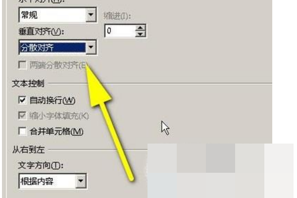 WPS表格中如何设置字间距？