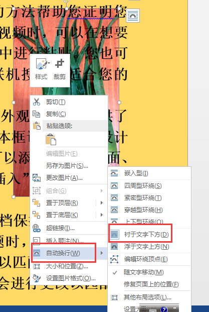 word中怎么在图片上面打字?
