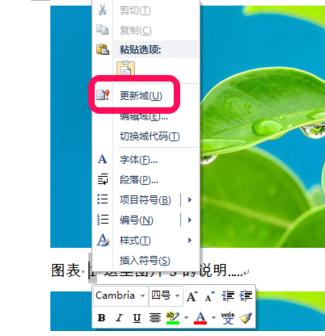 Word里如何插入图表目录？