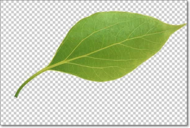 3dmax制作简单的飘落的树叶怎么做呢