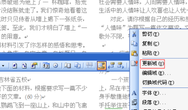 Word分栏后如何为每栏添加页码？
