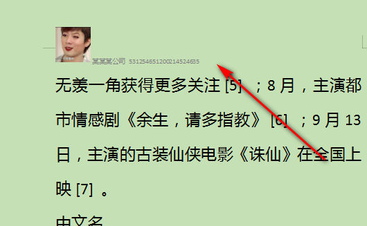 Word中如何设置公司抬头？
