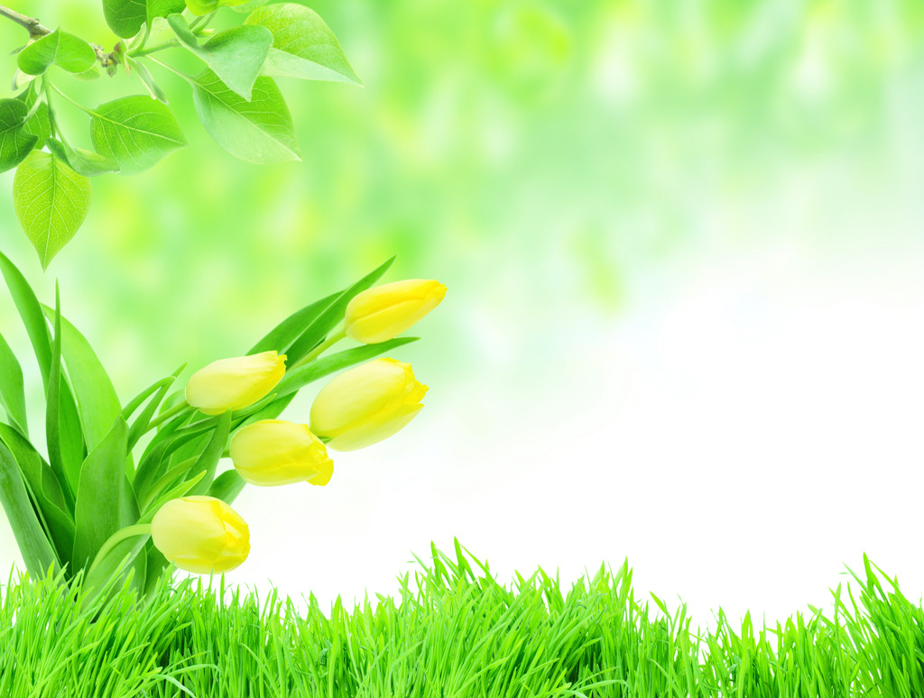 怎么把word颜色绿色