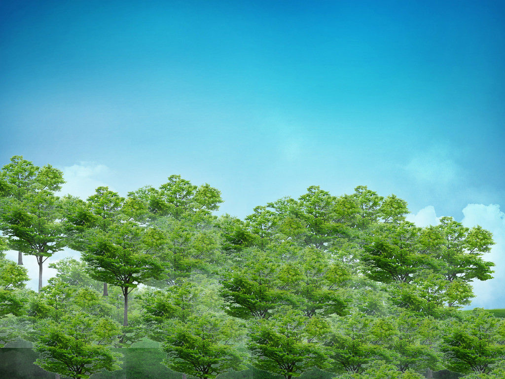 如何用ps将一棵树的图片制作成一片树林?