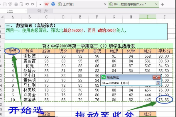 WPS Excel 的高级筛选怎么用？