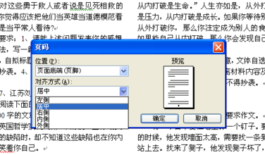 Word分栏后如何为每栏添加页码？