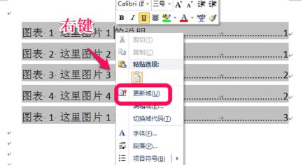 Word里如何插入图表目录？