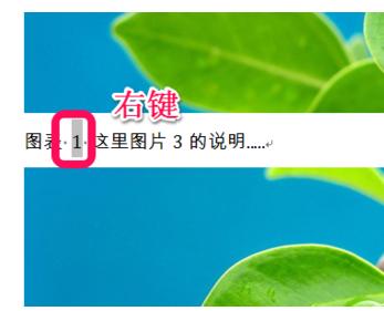 Word里如何插入图表目录？