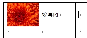 Word表格里的文字怎么和图片中部等高？
