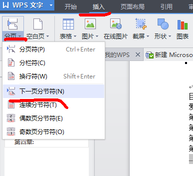如何设置WPS文字分节符？