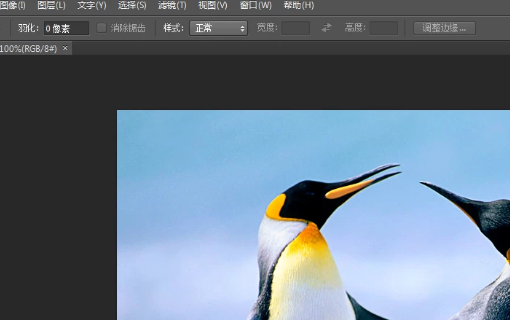 Photoshop CC怎么抠图？