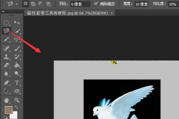 Photoshop磁性套索工具怎么使用？