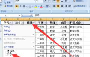 两个Excel表格都进行筛选后，怎么进行复制粘贴？