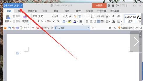 WPS如何显示空格标记？