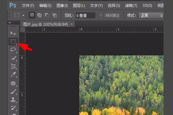 PS 自由钢笔工具画的图形怎么填充颜色？