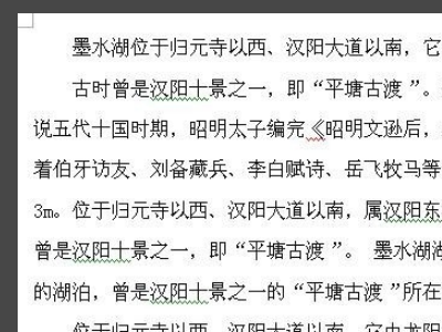 Word文档里的文字错乱