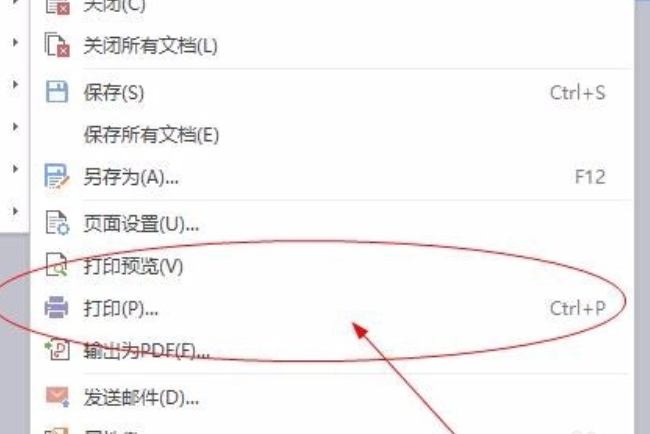 Word黑白打印在哪