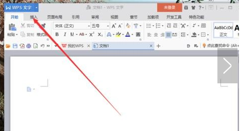 WPS如何显示空格标记？