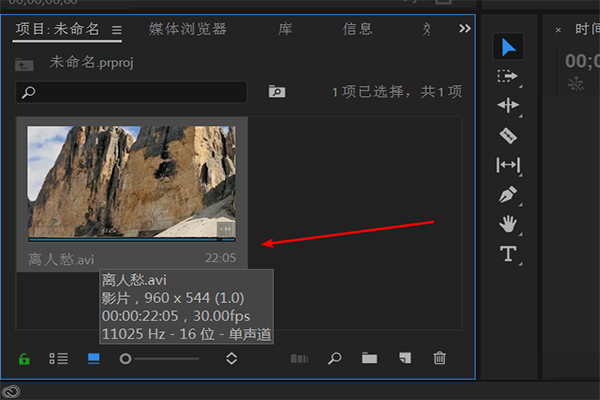 PRemiere 支持 flv格式吗？