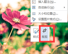 在word中图片能不能裁剪掉一部分