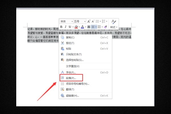 WPS中复制的图片不显示怎么办？