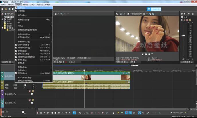 怎样安装Vegas Pro 12.0？