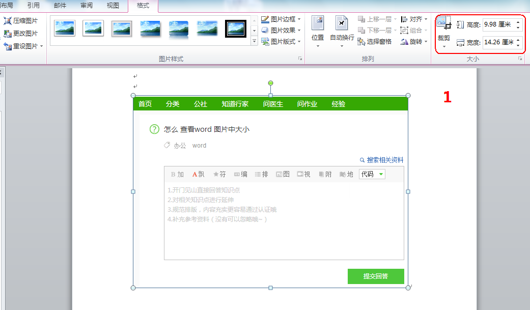 怎么 查看Word 图片中大小？
