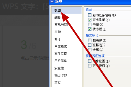 为什么我的WPS Word里没有浮动的段落布局标志？