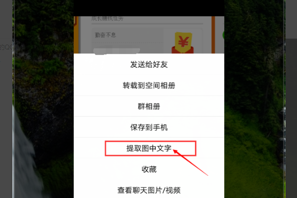 qq图片上的文字怎么转换为word