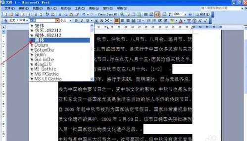 Word中怎样变为黑体字？