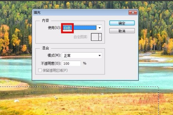 PS 自由钢笔工具画的图形怎么填充颜色？