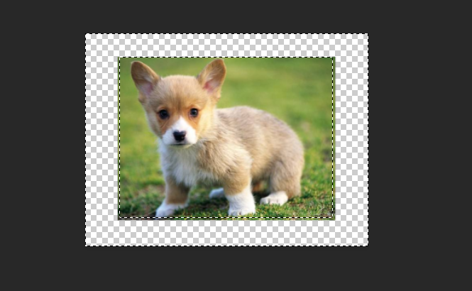 Photoshop作的图片怎么去掉边缘锯齿？