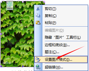 怎样在Word里插入一寸照片？