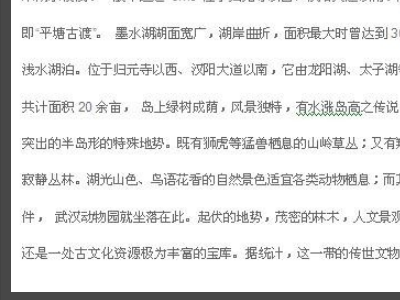 Word文档里的文字错乱
