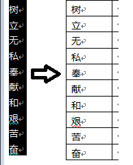 Word怎么给文字随机排序？