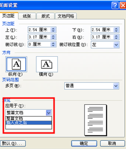 如何在Word文档中设置两个版面？