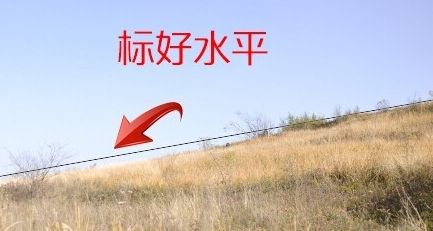 PS 图片角度调整